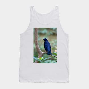 Satin Bowerbird Tank Top